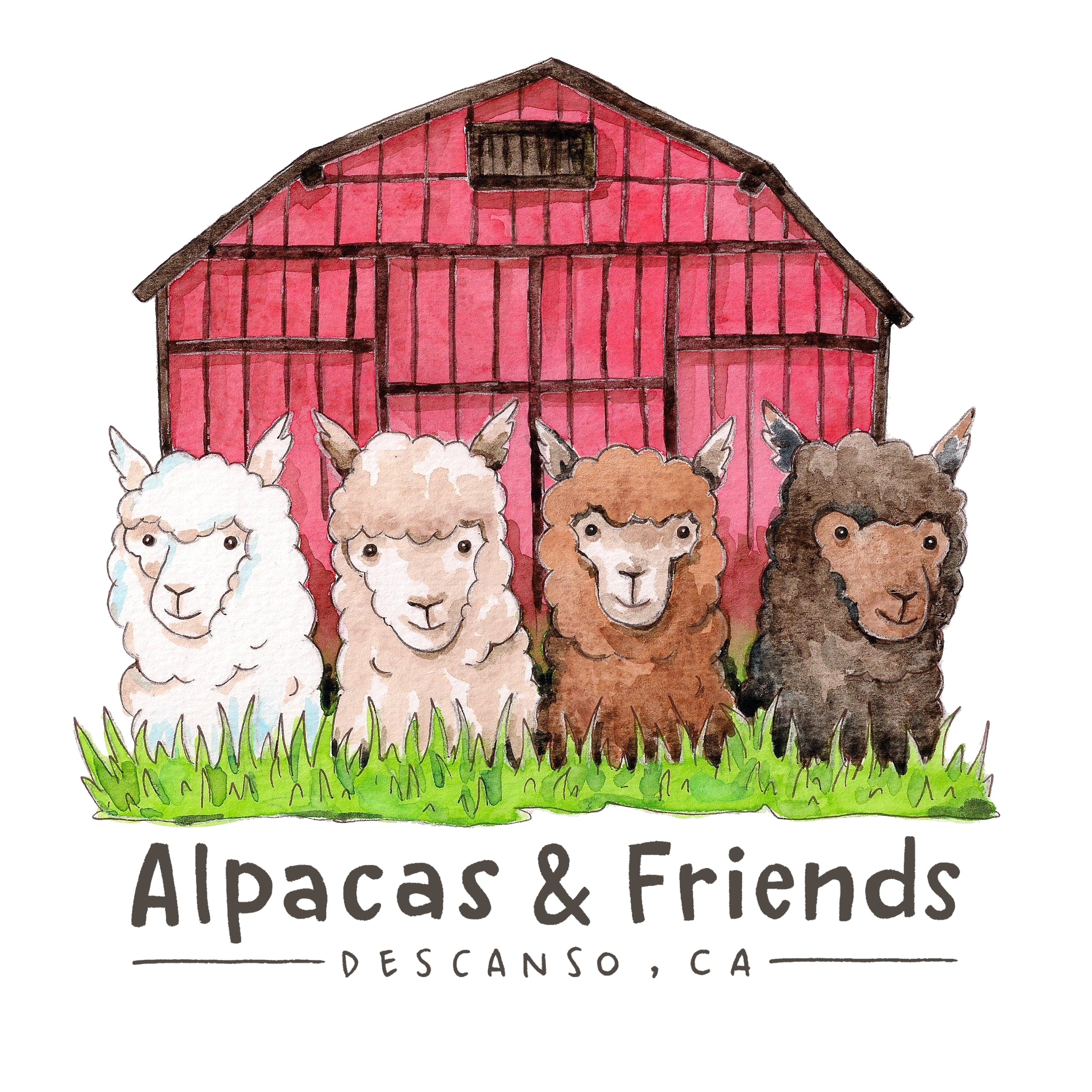 Alpacas & Friends Gift Card